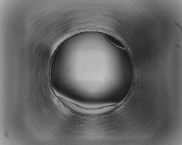 X0000100841530200807111139