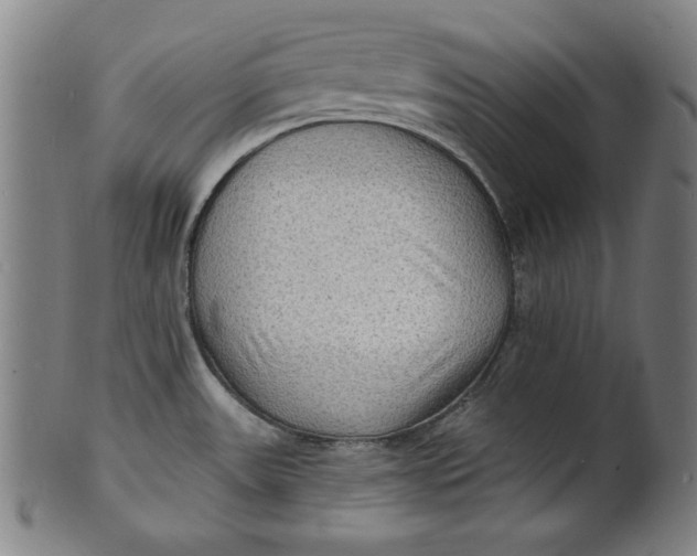 X0000100841531200807111139