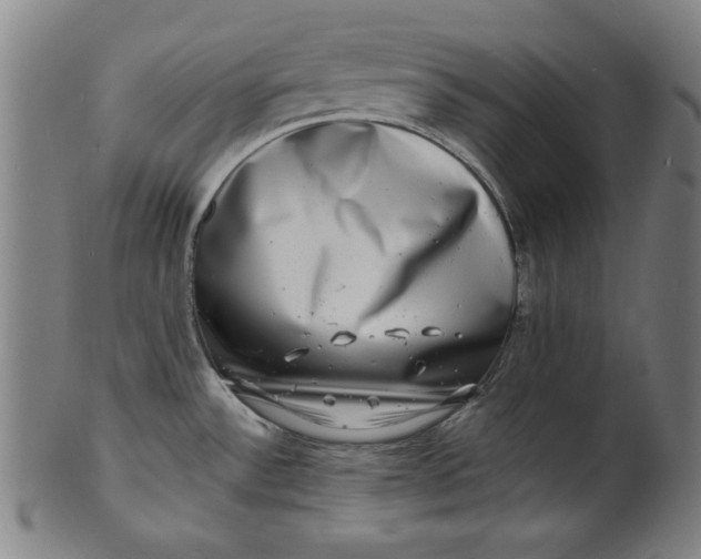 X0000100841532200807111139