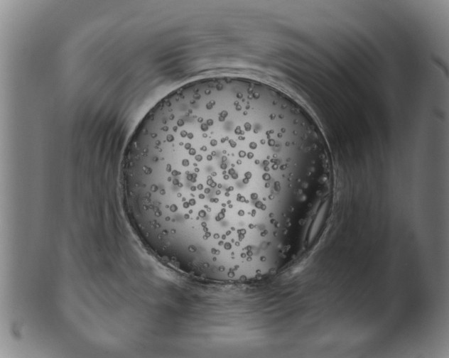 X0000100841533200807111139