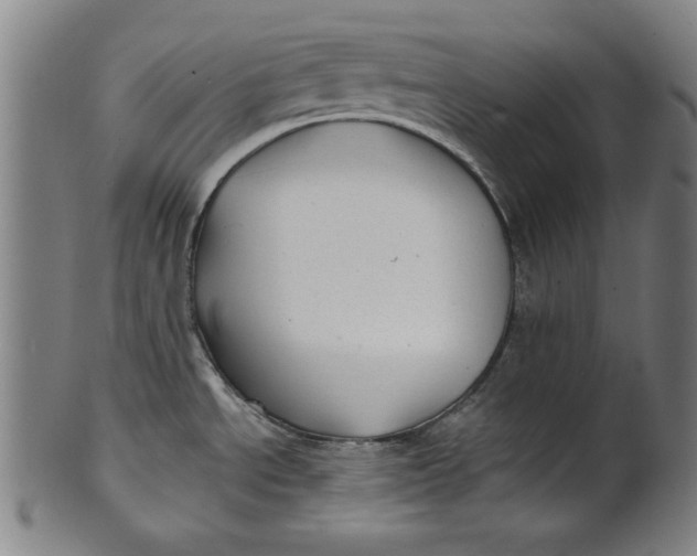 X0000100841534200807111139