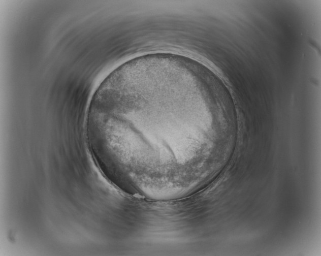 X0000100841536200807111139