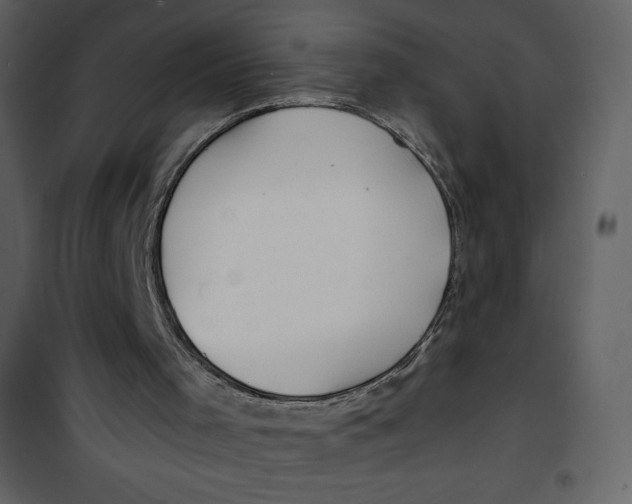 X0000100840001200807180931