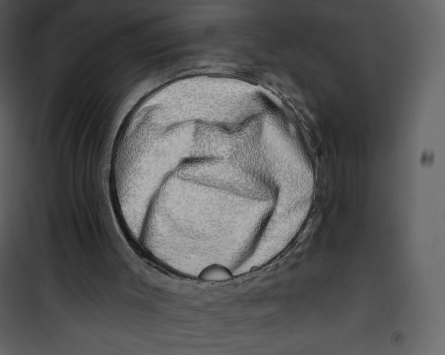 X0000100840003200807180931