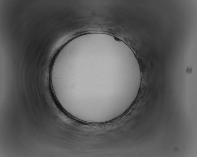 X0000100840005200807180931