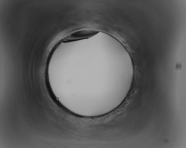 X0000100840007200807180931