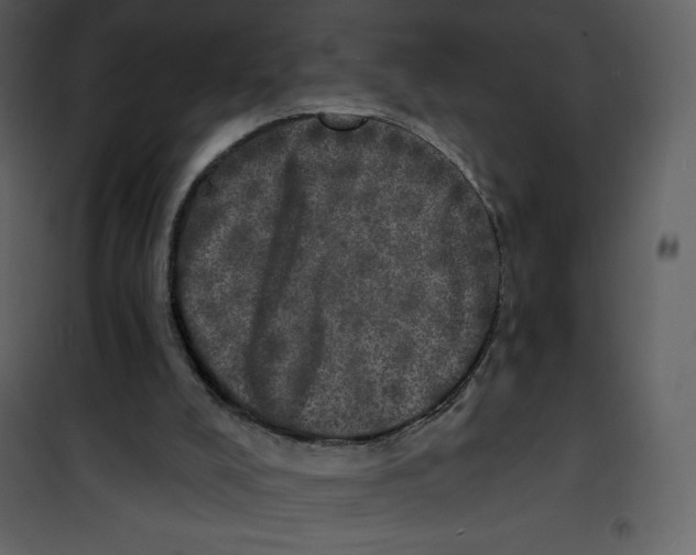 X0000100840008200807180931