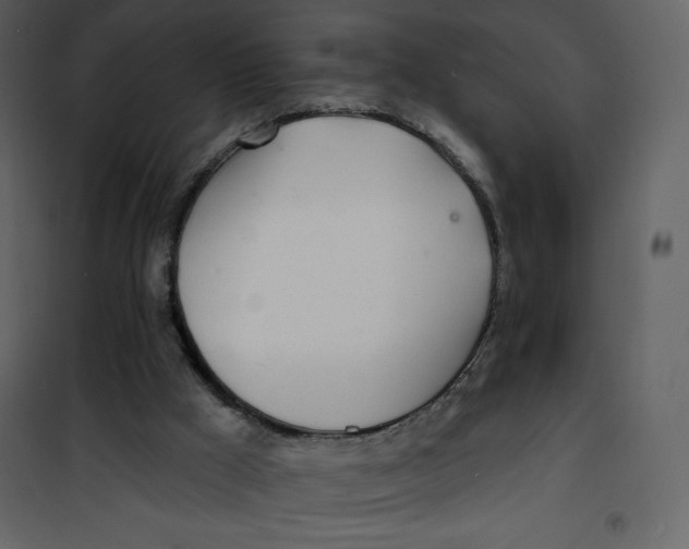 X0000100840009200807180931