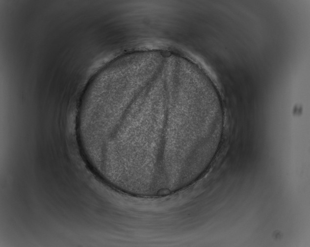 X0000100840010200807180931