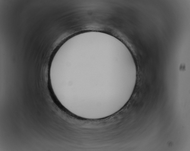 X0000100840011200807180931