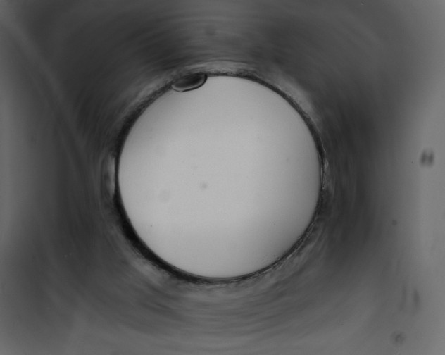 X0000100840013200807180931