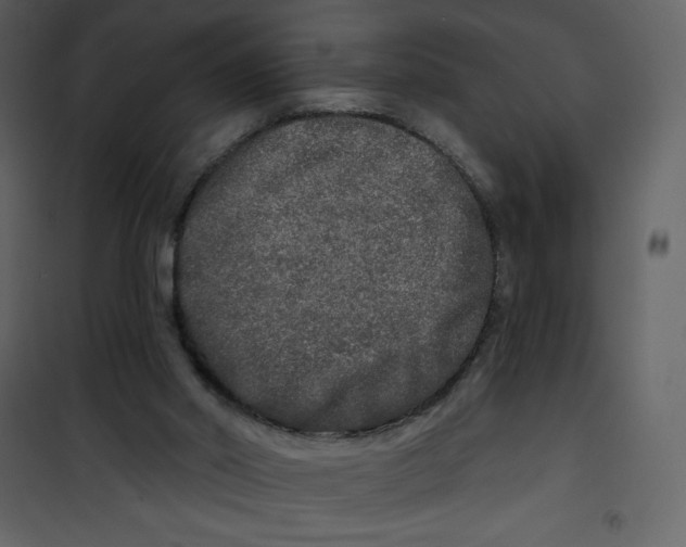 X0000100840014200807180931