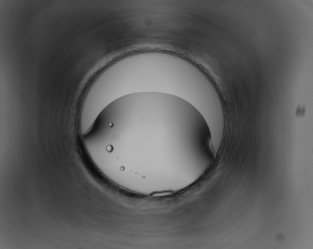 X0000100840016200807180931