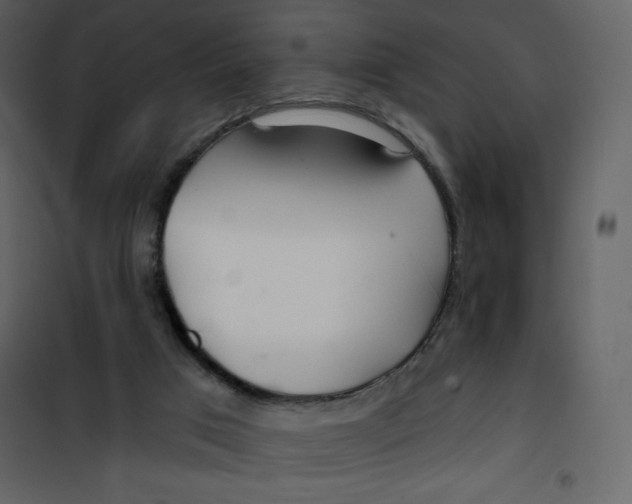 X0000100840017200807180931