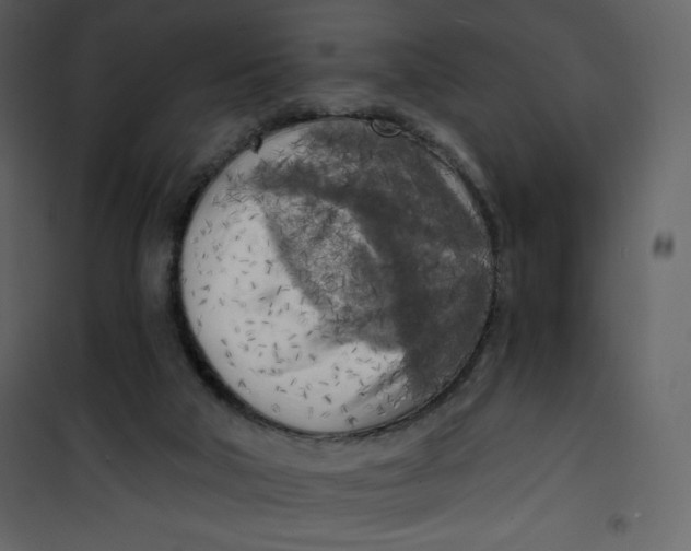 X0000100840018200807180931
