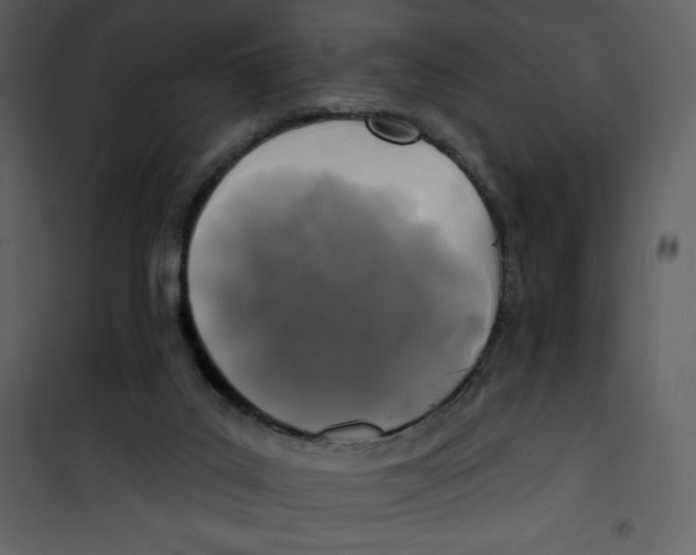 X0000100840019200807180931