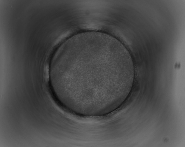 X0000100840020200807180931