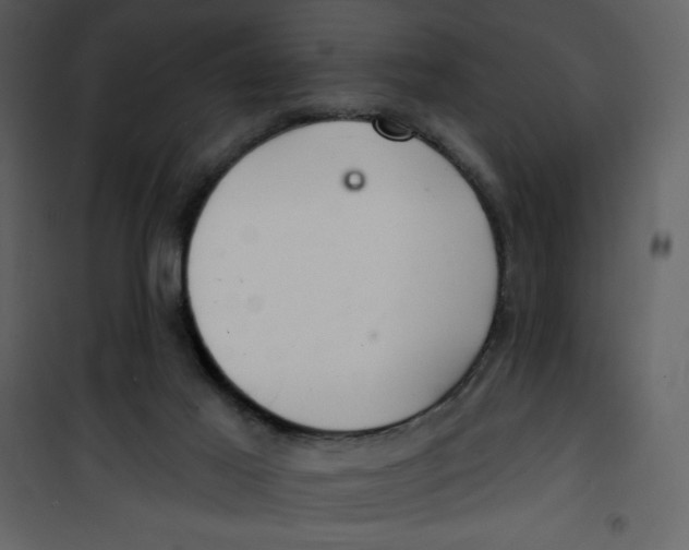 X0000100840021200807180931