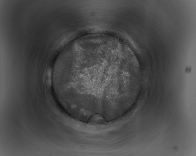 X0000100840022200807180931