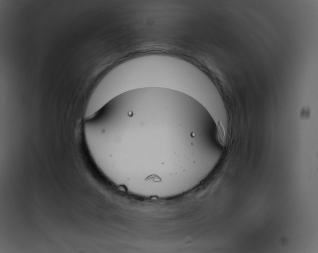 X0000100840024200807180931