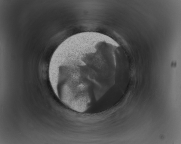 X0000100840026200807180931