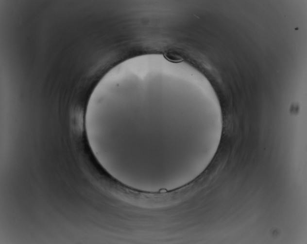 X0000100840027200807180931