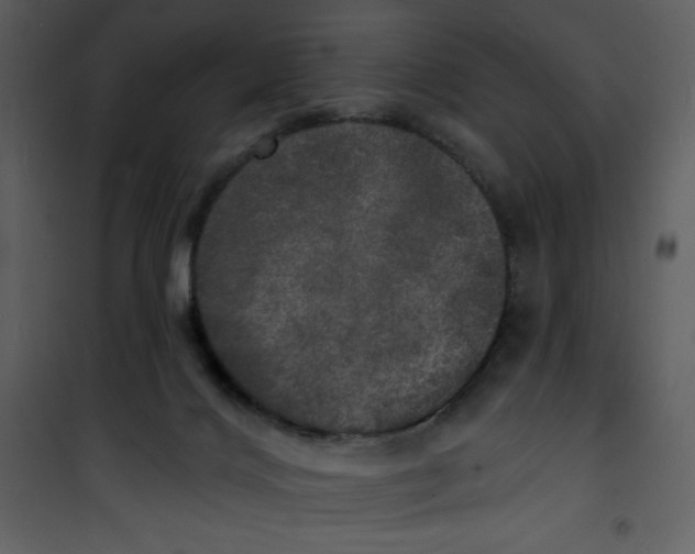 X0000100840028200807180931