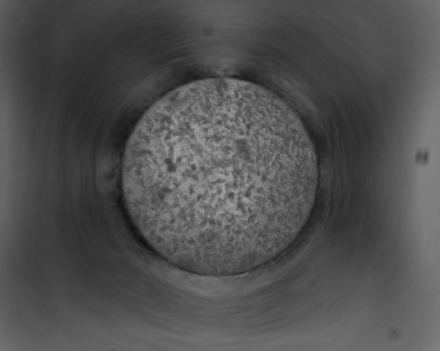 X0000100840030200807180931