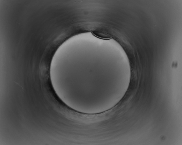 X0000100840031200807180931