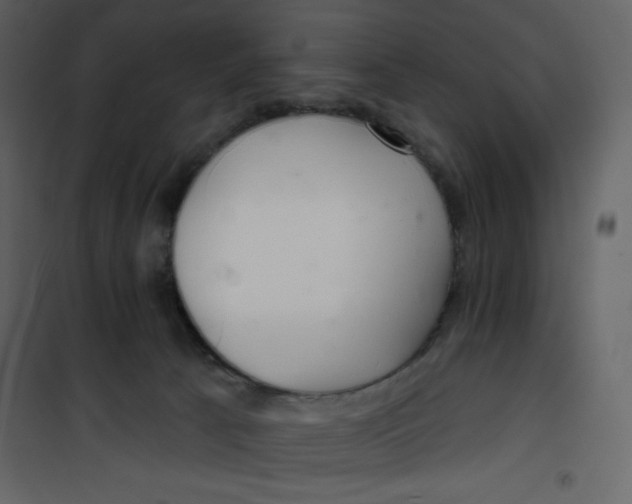 X0000100840033200807180931