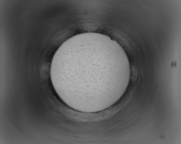 X0000100840034200807180931