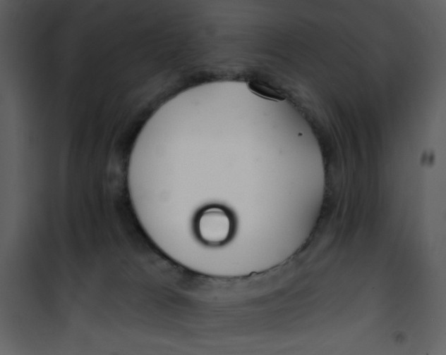 X0000100840037200807180931