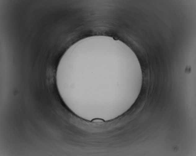 X0000100840038200807180931