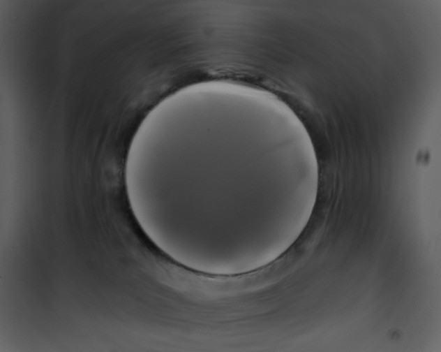 X0000100840039200807180931