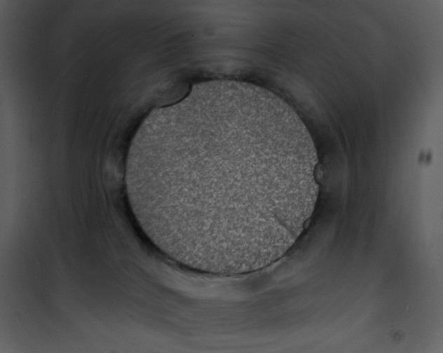 X0000100840040200807180931