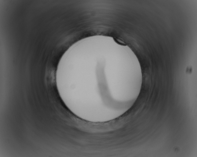 X0000100840042200807180931