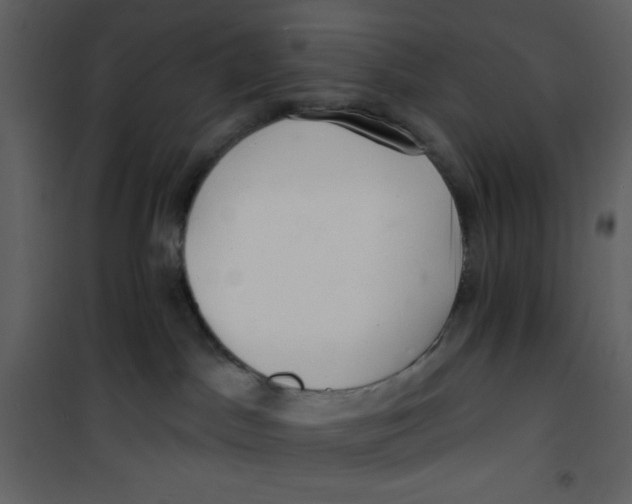 X0000100840045200807180931