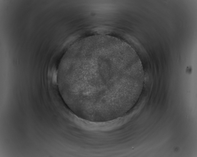 X0000100840046200807180931