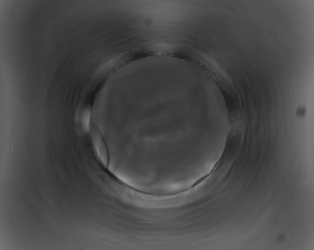 X0000100840047200807180931