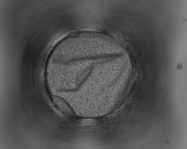 X0000100840050200807180930