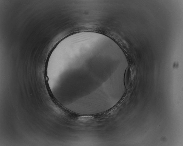 X0000100840051200807180930