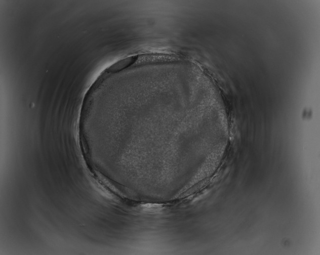 X0000100840052200807180930