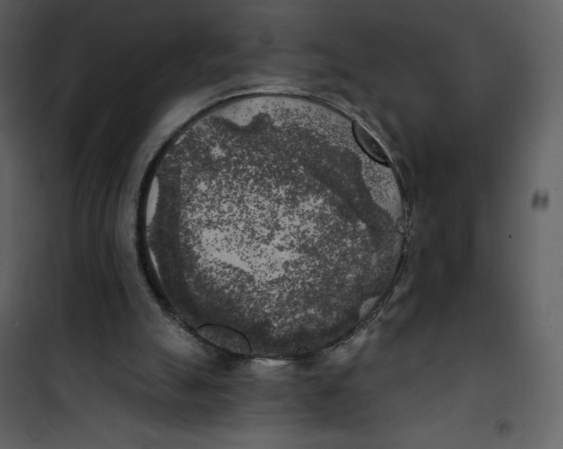 X0000100840055200807180930