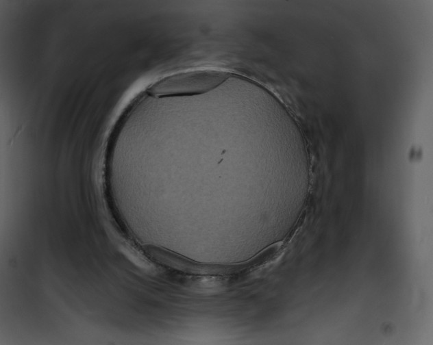 X0000100840056200807180930