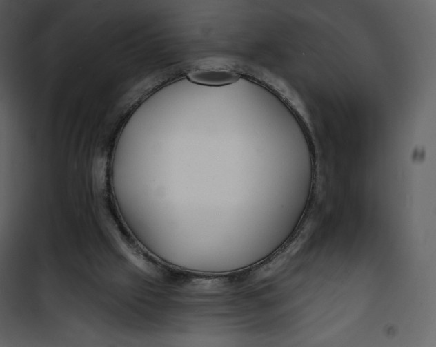 X0000100840057200807180930