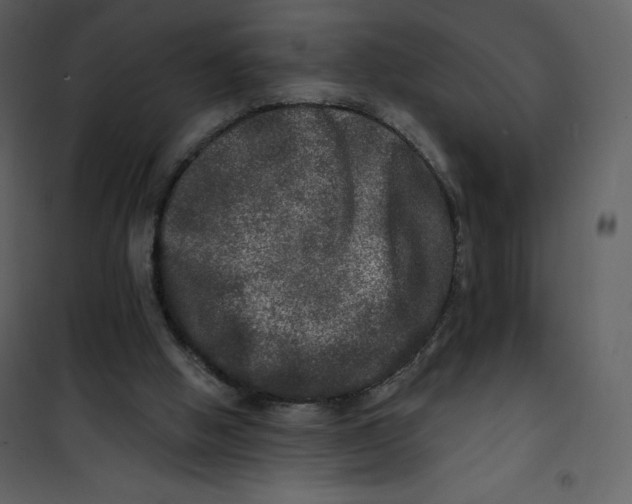 X0000100840058200807180930