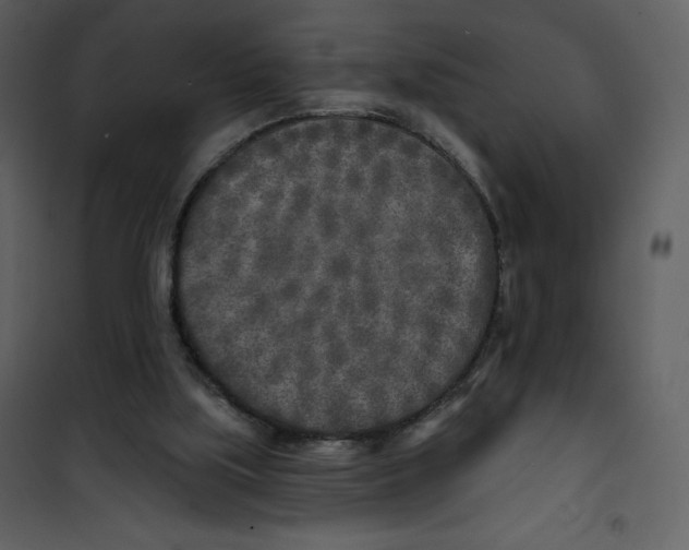 X0000100840059200807180930