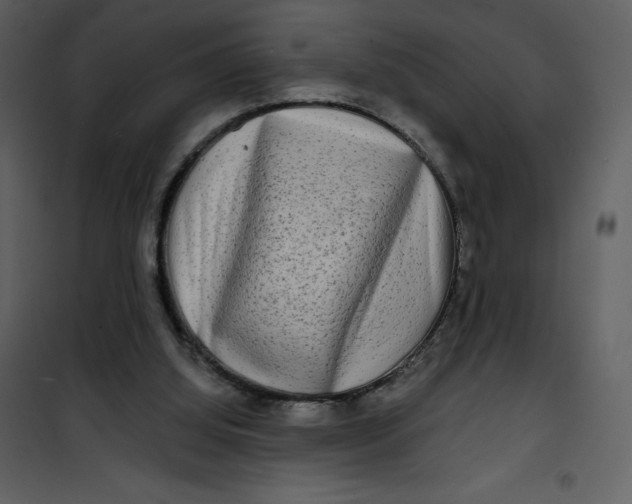 X0000100840060200807180930