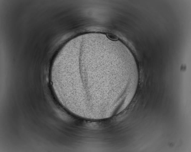 X0000100840062200807180930