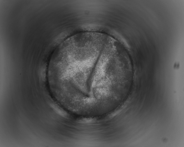 X0000100840065200807180930